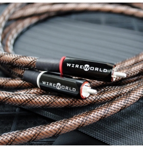 WIREWORLD Eclipse™ 10 Audio Interconnect Cable 1M