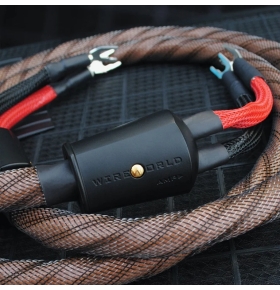WIREWORLD Eclipse™ 10 Speaker Cable Pair 2M