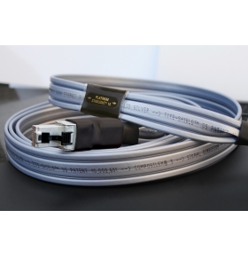 WIREWORLD Platinum Starlight 10 Twinax Ethernet Cable 1M
