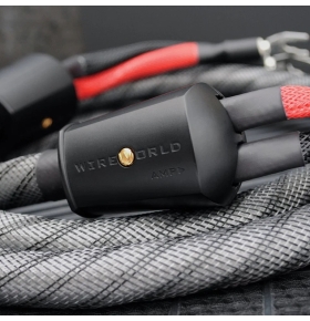 WIREWORLD Silver Eclipse™ 10 Speaker Cable Pair 2.5M