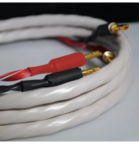 WIREWORLD Solstice® 10 Speaker Cable Pair 2.5M